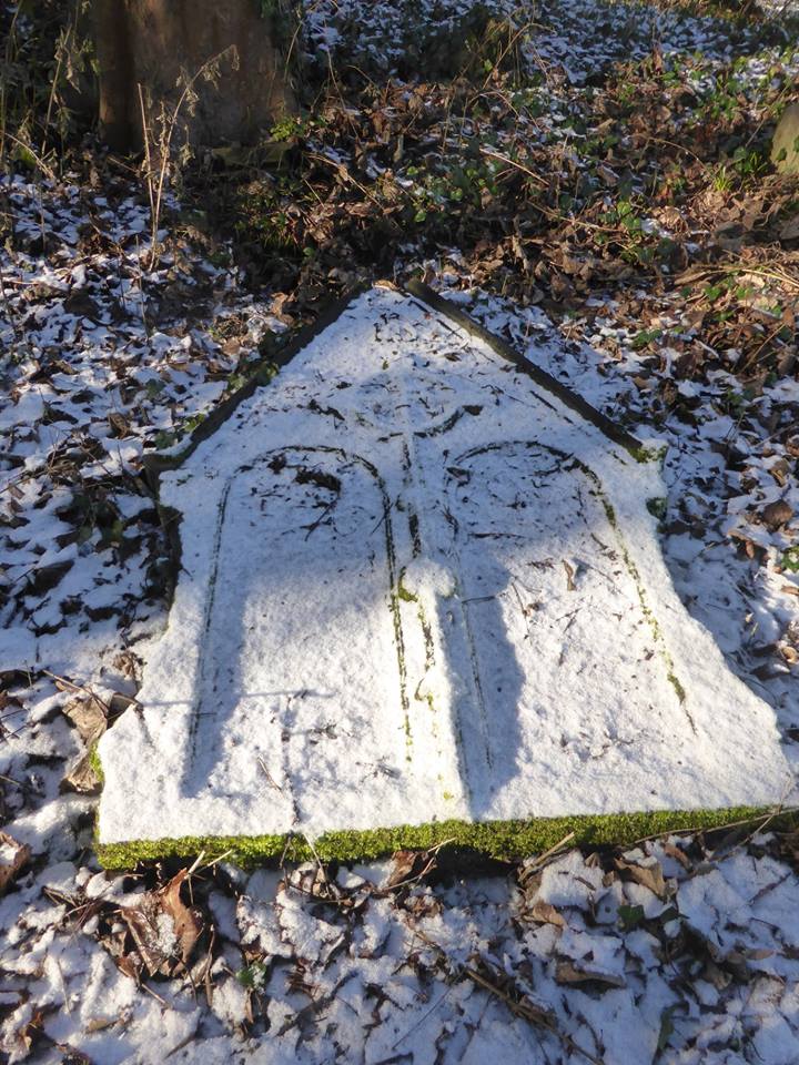 51378966_2356443464375401_3937341561288785920_n