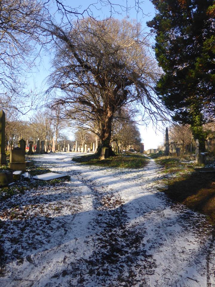 51457144_2356449657708115_6927046838377775104_n