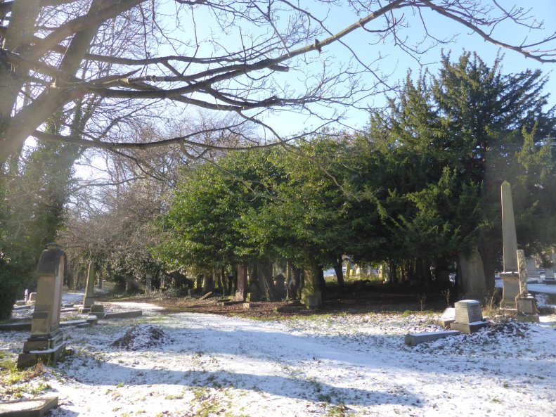 51472135_2356441764375571_1625024275423428608_o