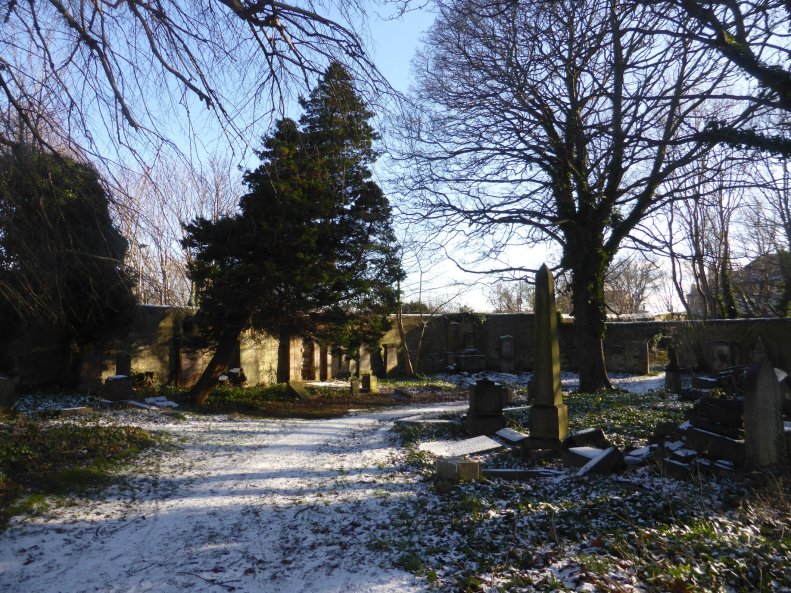 51599178_2356442984375449_2612390793817620480_o