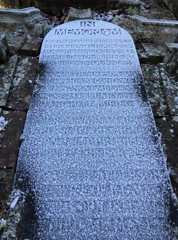 51968854_10216682183381013_7412117910757310464_n