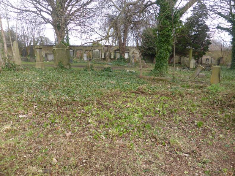 52508139_2379425128743901_1833671806683185152_o