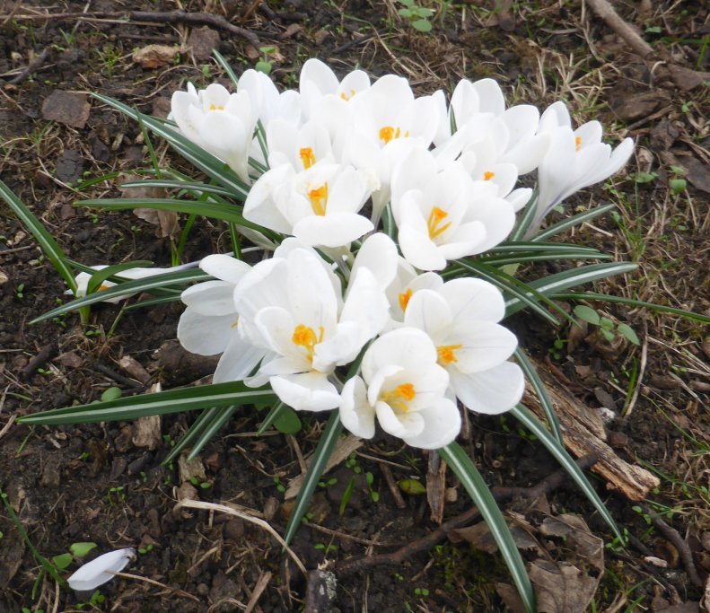 52964881_2389192304433850_5752058199825973248_o