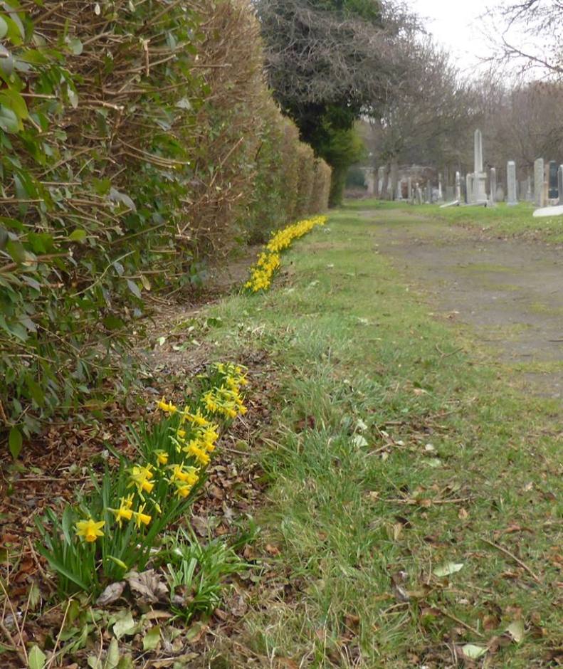 53176194_2389201084432972_3870028673457324032_n