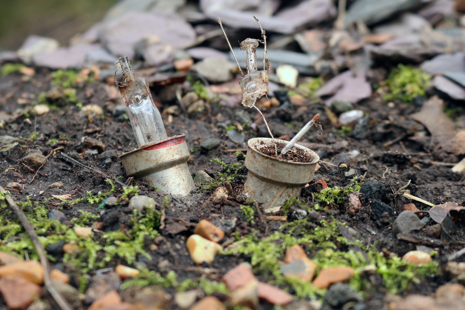 81921737_10157381841058025_2780090755417374720_o