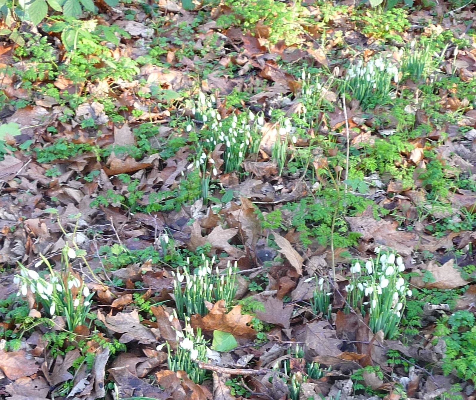 83176942_3030708096948931_6740478067539443712_o