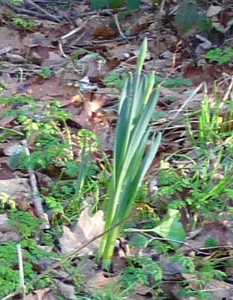 83314430_3030708136948927_3143094991774023680_n